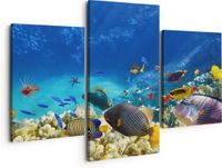 Artaza Canvas Schilderij Drieluik Vissen in de Oceaan met Koralen - 150x120 cm - Canvas Print