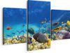 Artaza Canvas Schilderij Drieluik Vissen in de Oceaan met Koralen - 150x120 cm - Canvas Print
