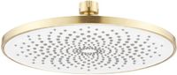 Rea - Ronde Douchekop Js-021 Gold Brush - 22,5 x 22,5 x 1,2 cm