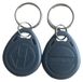 Merkloos Rfid tag - Proximity tag 125 kHz - Grijs - Pak van 10 - Em4100