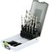 Festool Spiraalboor cassette HSS 3-10/10x Centrotec - 4014549090312