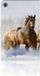 B2Ctelecom Lenovo Tab M10 Plus 3rd Gen 10.6 inch Flip Case Paarden