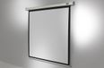 Celexon Economy Whiteboard 300x169 cm Wit