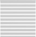 vidaXL Zebra rolgordijn 145x100 cm stofbreedte 140,9 cm gris clair