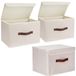 Merkloos Solidchoice - Set van 3 Vouwbare Opbergdozen met Deksel voor Kleding