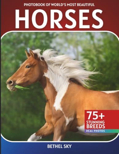 Horses Photobook: A Stunning Visual Journey Through the World's Most Beautiful Horses