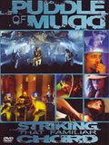 Puddle of Mudd - Striking that Familiar C.