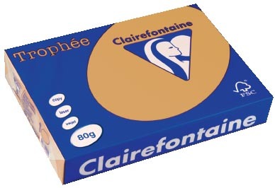 Clairefontaine gekleurd papier Trophée Pastel A4 mokka