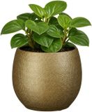 Mica Decorations Plantenpot - keramiek - goud glans / ribbels - D17 x H18 cm - bloempot Porto