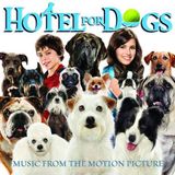 Hotel Universal Music Hotel for Dogs