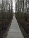 Intergard Betontegels terrastegels agriplaten 120x80cm Groen