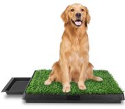 Hondentoilet toilet Ideaal voor puppy's en oudere honden, binnen en buiten afmetingen: 63 x 50 x 7 cm