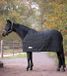 Sous-tapis thermique 100 G - Noir - Taille 145 - Cheval