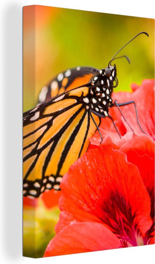 OneMillionCanvasses Canvas Schilderij 120x180 cm - Bloemen & Vlinders - Multicolor - Modern