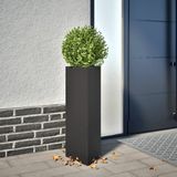 vidaXL Plantenbak Driehoek Staal Zwart 30x26x75 cm