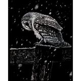 Royal & Langnickel Krabplaatje Uil, Zilver