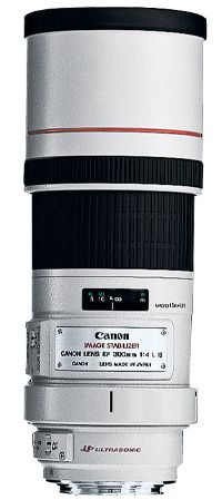 Canon EF 300mm f/4L IS USM Lens - White