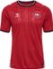 Hummel GREENLAND 25 HOME JERSEY S/S XXL