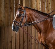 Dy'on Leather/Nylon Draw Reins 5/8 (13mm) Working - Brown - Full