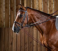 Dy'on Leather/Nylon Draw Reins 5/8 (13mm) Working - Brown - Full