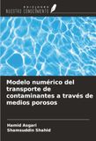 Modelo OmniScriptum SRL Modelo numérico del transporte de contaminantes a través de medios porosos
