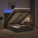 vidaXL Ottomaans Bed met Matras en LED Donkergrijs 120 x 200 cm Stof