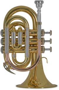 Vincent Bach PT650 Bb pocket trompet 124 mm (gelakt) met tas