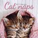 Cat Gifted Stationery Cat Naps Kalender 2027