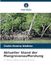 Aktueller Stand der Mangrovenaufforstung: im Saloum-Delta und an der Somone