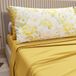 PETTI Artigiani Italiani - Katoenen beddengoed met kussenslopen met digitale print, laken voor Frans bed, Valencia, 100% Made in Italy