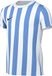 Nike Uniseks-Kind Short Sleeve Top Y Nk Df Strp Dvsn Iv Jsy Ss, Wit/University Blauw/Zwart, CW3819-103, XL