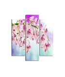 Homemania Wandafbeelding, 3 stuks, natuur, voor woonkamer, slaapkamer, meerkleurig, 57 x 0,3 x 60 cm, HM203MDF200, MDF