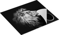 Chefcare Inductie Beschermer Leeuw - Leeuwenkop - Zwart Wit - 57,6x51,6 cm - Inductie Mat
