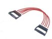 Sedco Krachttrainer - 5 elastiekjes Ple303 Rood - Meerkleurig