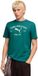 Puma Class Graphic T-shirt Heren Groen Maat L
