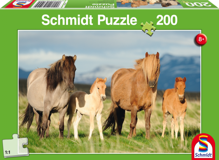 Schmidt 56199 Puzzel - Multicolor - 8+ jaar