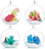 Merkloos / Sans marque Hangende glazen bollen Terrarium Orbs - 4 stuks glazen plantenbak - grote opening lucht varen planten vaas hanger - 4.72 inch - voor thuisfeest bruiloft tuin DIY ontwerp