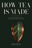 How Libri GmbH How Tea Is Made: Why Green and Black Come from One Leaf and What Withering, Oxidation and Fire Do to It