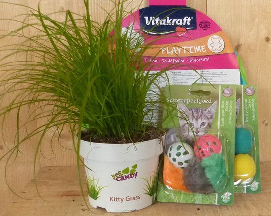 Warentuin mix - Cadeaupakket kattenspeeltjes met kattengras