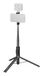 SmallRig 5291 ST30 Lite Selfie Stick Tripod Noir