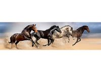 AG Design Zelfklevende rand paarden, keuken, woonkamer, muursticker, 500 x 14 cm, WB 8242