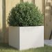Maison Exclusive - Bac à plantes blanc 32 x 30 x 29 cm en acier