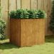 Maison Exclusive - Jardinière en acier Corten, dimensions 80x80x80 cm
