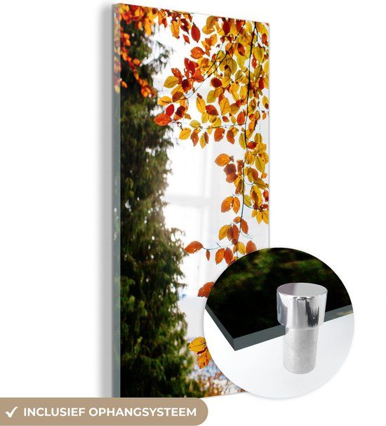 MuchoWow® Glass Painting 60x120 cm - Acrylic Glass Painting - Autumn - Leaves - Nature - Photo on Glass - Paintings
