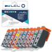 Canon 10 cartouches d'encre, type PGI-9, pour Canon Pixma Pro 9500