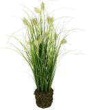 Kunstgras Bol Kunstmatig vossenstaartgras in grondpot, gras, kunstplant, kunstgras, siergras, groene planten, siergras, siergras, solitair gras, decoratie, grasarangement, borstelgierst, Panicoideae zoetgrassen