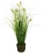 Kunstgras Bol Kunstmatig vossenstaartgras in grondpot, gras, kunstplant, kunstgras, siergras, groene planten, siergras, siergras, solitair gras, decoratie, grasarangement, borstelgierst, Panicoideae zoetgrassen