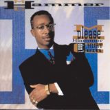 Please MC Hammer Please Hammer, Don't Hurt 'Em