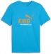 Puma Football T-shirt logo OM King 2025/26 Blauw/Goud Maat XL