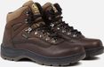 Aigle Picardie - Wandelschoenen Brown 40